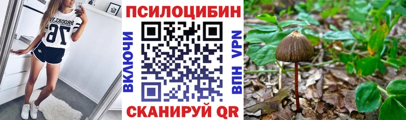 Купить закладки  Макушино  Псилоцибиновые грибы прущие грибы 